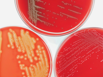 Avís lectura tesi doctoral. Programa de doctorat en Enginyeria Mecànica, Fluids i Aeronàutica de la UPC: